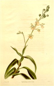 n173_w1150