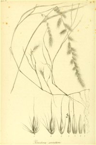 n517_w1150