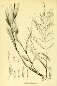 n257_w1150