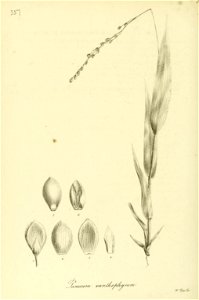 n513_w1150
