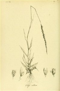 n59_w1150