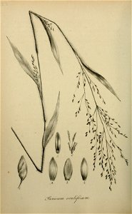 n451_w1150