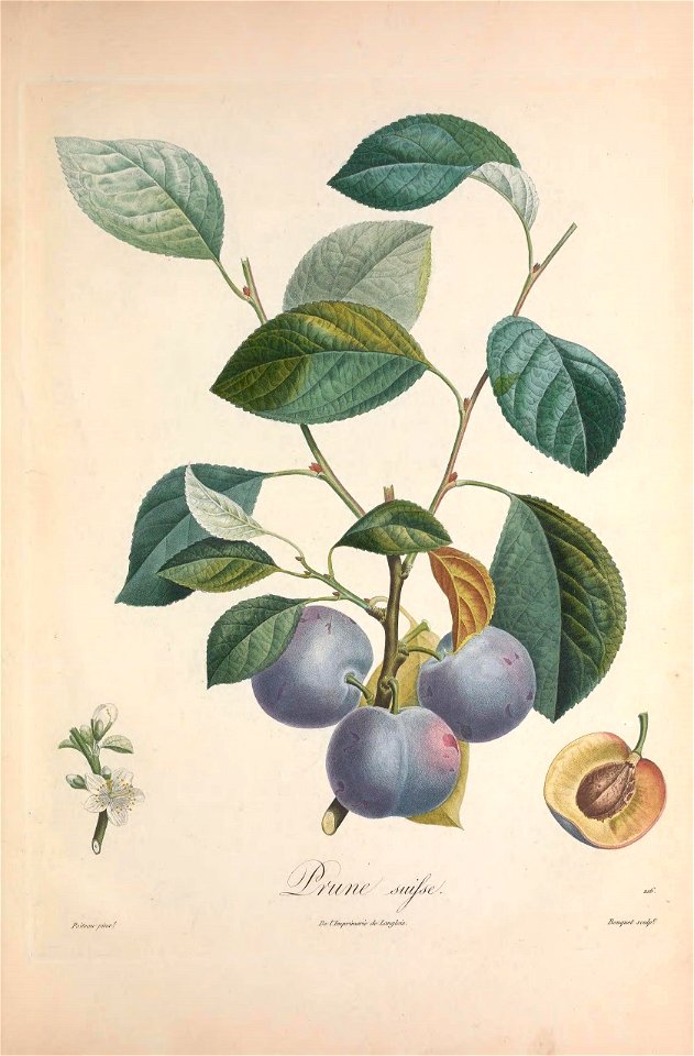 n508_w1150