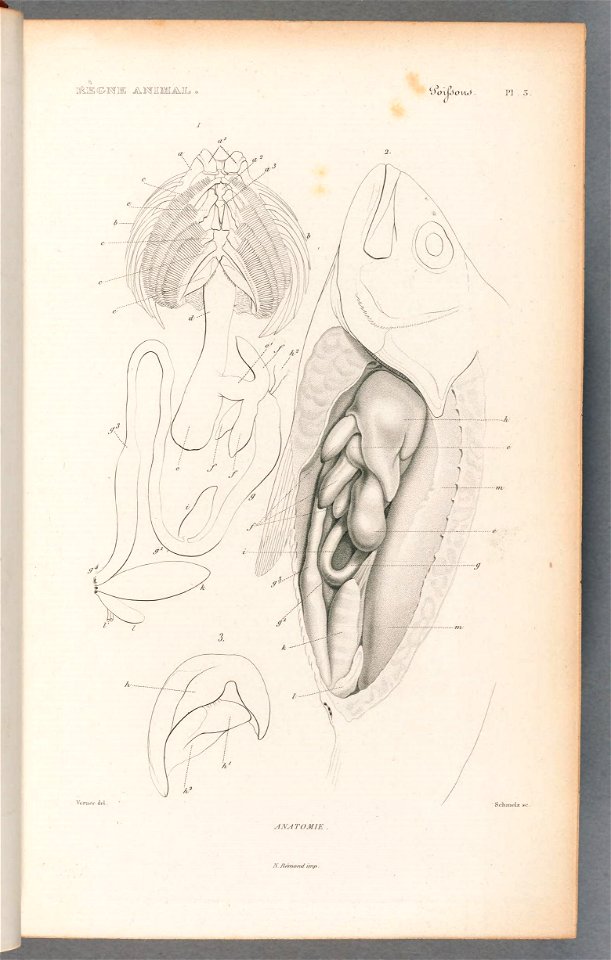 n16_w1150
