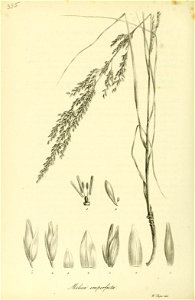 n505_w1150