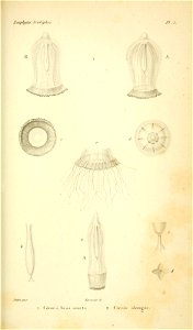 n622_w1150
