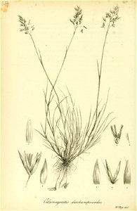 n501_w1150