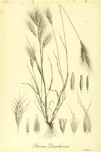 n497_w1150