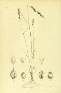 n239_w1150