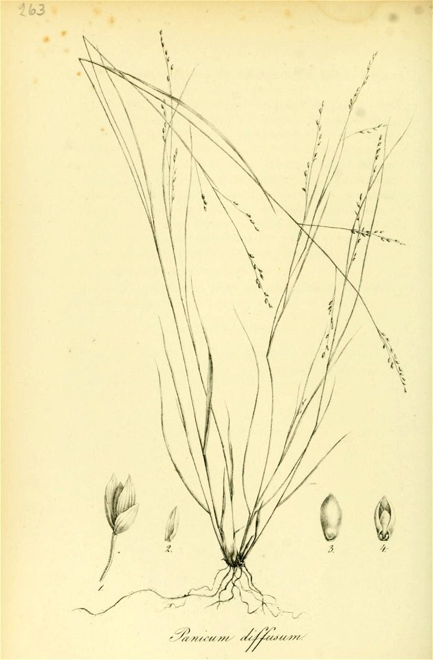 n107_w1150