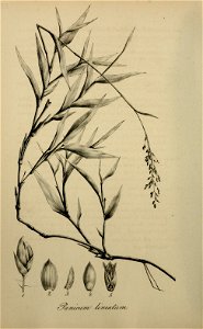n499_w1150