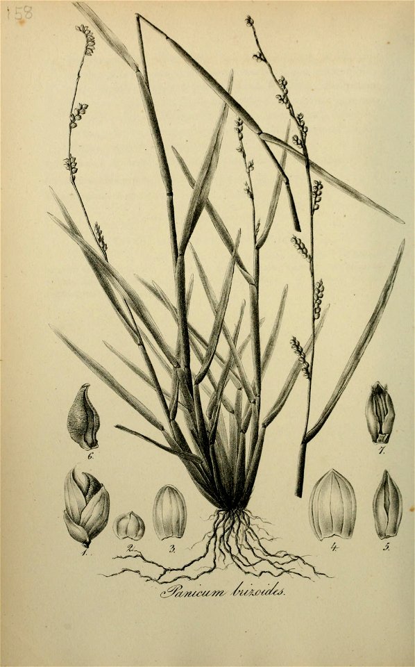 n175_w1150