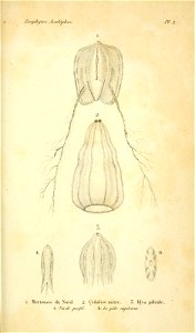 n616_w1150