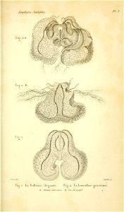 n618_w1150