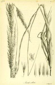 n493_w1150