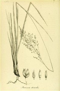 n39_w1150