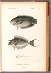 n158_w1150