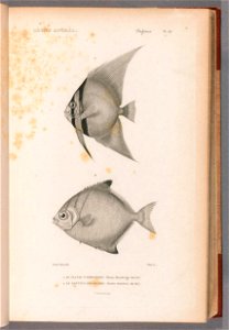 n98_w1150