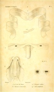 n614_w1150