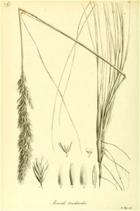 n489_w1150