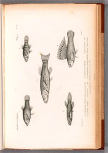 n204_w1150