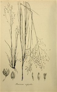 n523_w1150