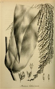 n391_w1150