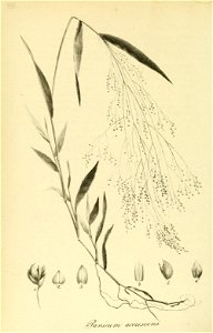 n421_w1150