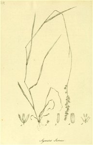 n163_w1150
