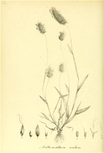 n103_w1150