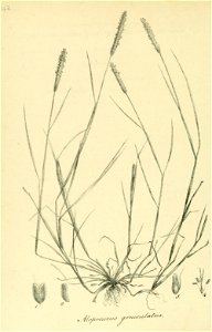 n221_w1150