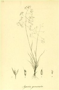 n159_w1150