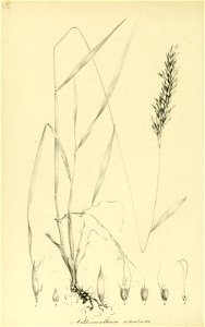 n99_w1150