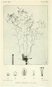 n407_w1150