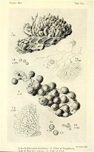 n129_w1150