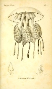 n626_w1150