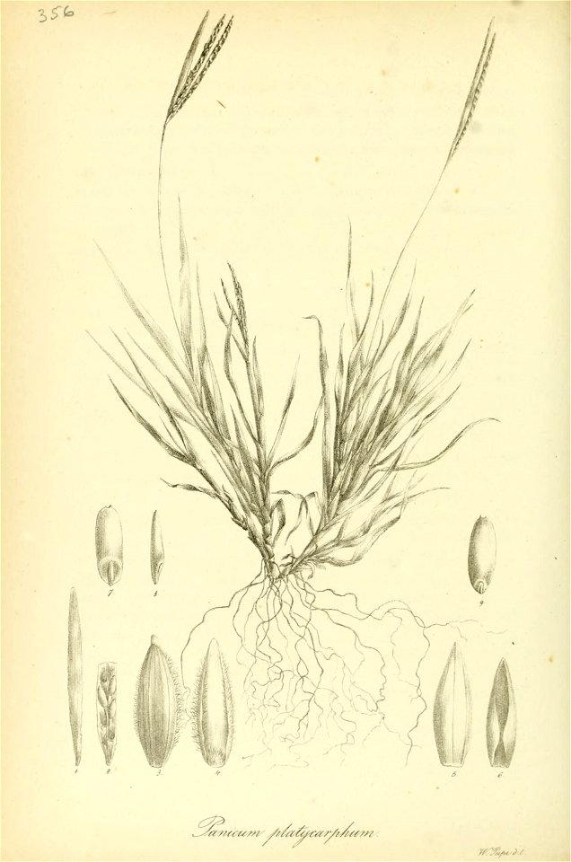 n509_w1150