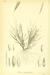 n509_w1150