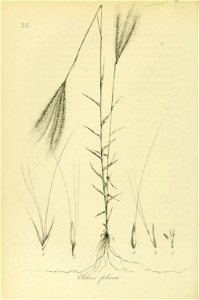 n313_w1150