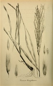 n443_w1150