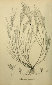 n507_w1150