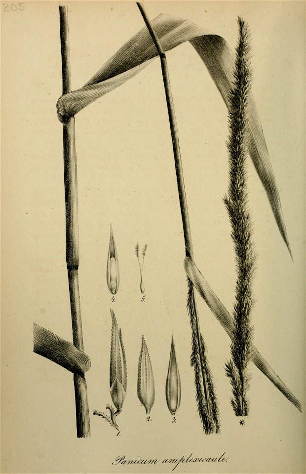 n379_w1150