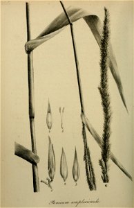 n379_w1150