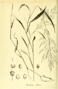 n409_w1150