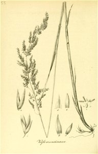 n277_w1150