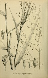 n503_w1150