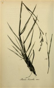 n179_w1150