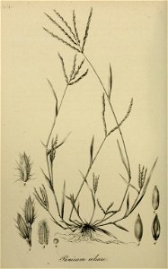 n111_w1150