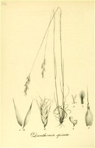 n273_w1150