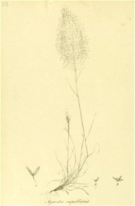 n147_w1150